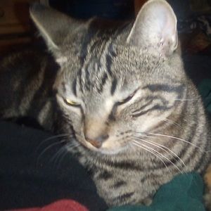 Meet your Posher, Sa’lisa